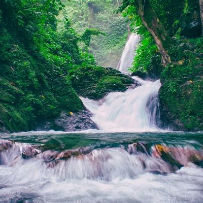 仙侠奇缘变态版下载